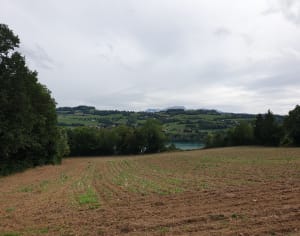 Chemin en forêt sur les hauteurs de Paladru - Julien - 4