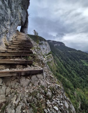 Belvédère du Pas du Roc - Fillière - 8