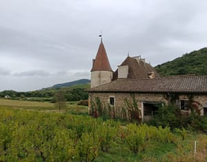 Circuit des 3 châteaux, départ de Quincié - Marianne - 16