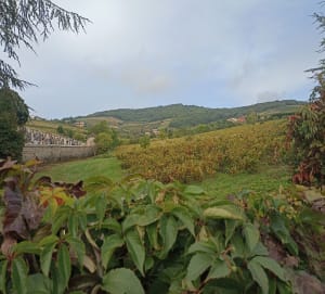Circuit des 3 châteaux, départ de Quincié - Marianne - 14