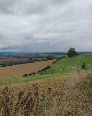 Rando sur le plateau de la Côte de Delme - Cindy - 6