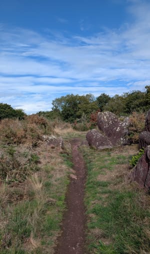 Les landes monterfiloises - Heloise - 4