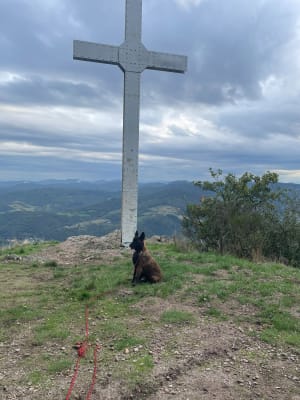 Balade dans la forêt autour de la croix de Rochefort - MICHEL - 6