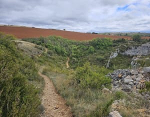 Randonnée de haut vol au Larzac - Laura - 4