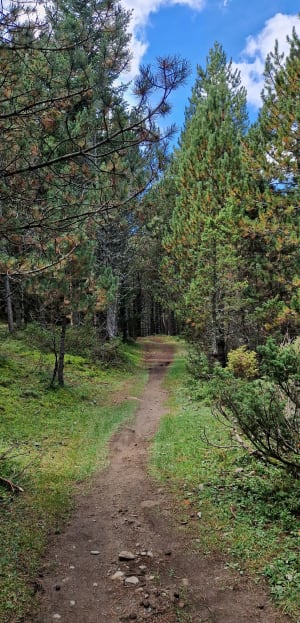 Chemin des Iglesiettes, aux Angles - Anaïs - 7