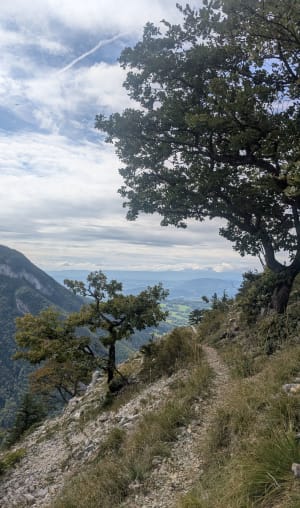 Chemin de La Vuettaz et forêt profonde - Agnès - 2