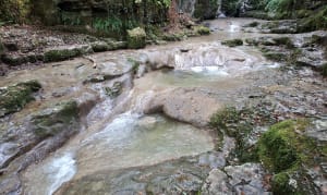 La Bridoire et micro-aventure vivifiante - ROCHE - 7
