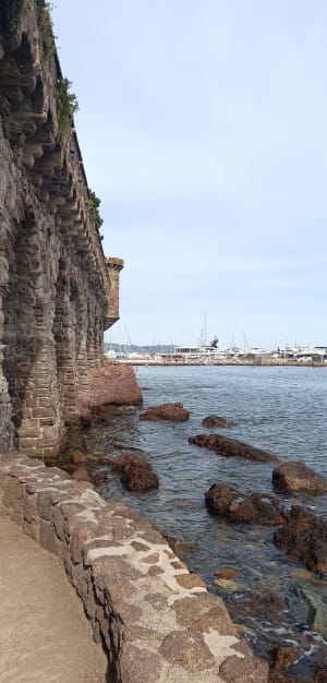 Mandelieu et son sentier du littoral riche en couleur - Mandelieu-la-Napoule - 6