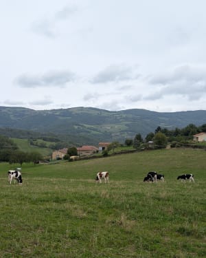 La boucle du Val Noir - Mathieu - 7