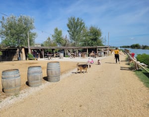 Jolie balade en petite Camargue et son patrimoine naturel - Frédéric  - 4