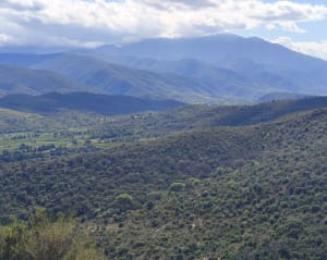 Puig Pedrous, depuis Ille-sur-Têt - Julien - 3