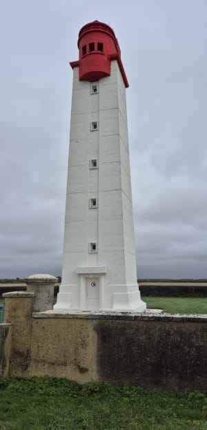 Saint-Laurent-de-la-Prée et les animaux des marais - Saint-Laurent-de-la-Prée - 2
