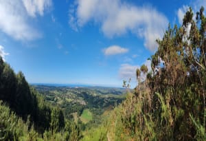 Chemin d'Intzola - Urrugne - 2