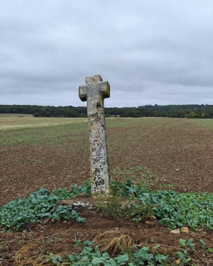 Sur les hauteur de l'Aubette depuis Bray-et-Lû - Pascalis - 2