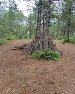 Sentier des cabanes à Saint-Jean-de-Monts - Virginie - 10