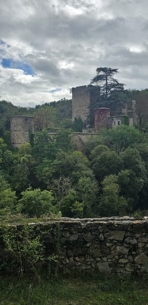 Balade dans la vallée du Torrenson - CYRILLE - 10