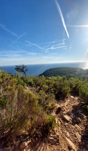 Route du Canebas et évasion sensorielle sur la côte varoise - louna - 3