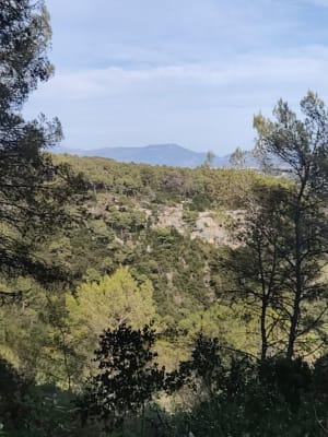 Monte au Castellas - Claire - 4
