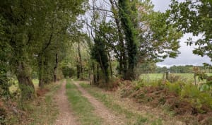 Boucle autour de Lignan-de-Bordeaux et Cénac - Elena - 8