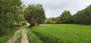 Gours et le Meillac, entre patrimoine, vignobles, prairies et bois - Bernard - 9