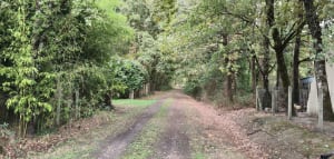 Gours et le Meillac, entre patrimoine, vignobles, prairies et bois - Bernard - 6
