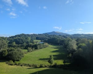 Promenade forestière les pieds dans l'eau - sacha - 6