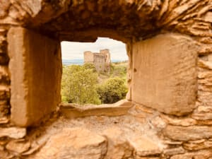 Seyssuel, château, vignes, vallée du Rhône - Audrey - 3