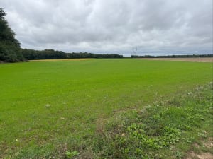Balade au Bois du Mortier et campagne autour de Nouzilly - Souhir  - 4