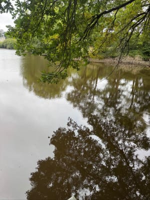 Balade au Bois du Mortier et campagne autour de Nouzilly - Souhir  - 3