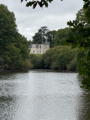 Balade au Bois du Mortier et campagne autour de Nouzilly - Souhir  - 5