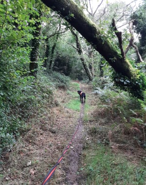 Rando à PenHoat - Isabelle - 5