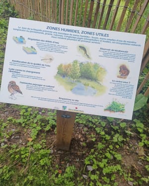 Bois de Noyelle depuis Hellemmes - Jérémy - 3