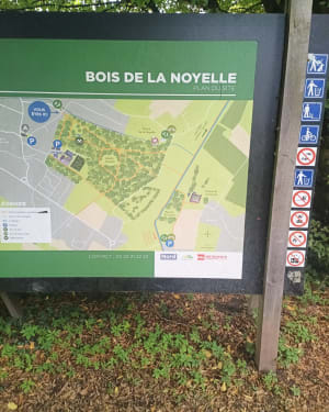 Bois de Noyelle depuis Hellemmes - Jérémy - 5
