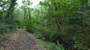 Promenade dans la vallée du Lude - Carolles - 5