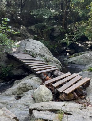 Au fil de l'eau de Laroque-des-Albères - HELENE - 10