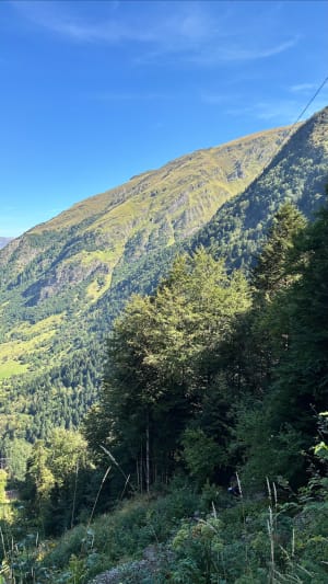 Balade au lac d'Oô et faune aux mille et une facettes - Les Granges d'Astau, Oô - 20
