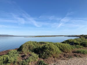 Le Barcarès, le port et l'Etang de Leucate à vélo - NATHALIE - 2