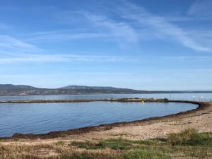 Le Barcarès, le port et l'Etang de Leucate à vélo - NATHALIE - 3