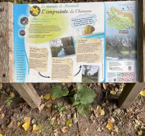 Petite balade autour de Saint-Aubin - Erica - 5