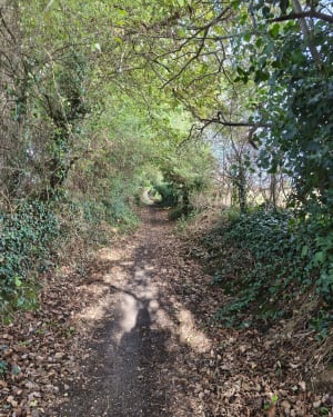 Balade à la découverte de la Voie Verte à Mayenne - AURELIE - 6