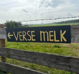 Rondje meerpolder Zoetermeer / Stompwijk - Zoetermeer - 3