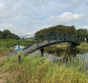 Rondje meerpolder Zoetermeer / Stompwijk - Zoetermeer - 5