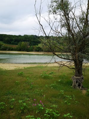 Lac de Lacépède - Lacépède - 4