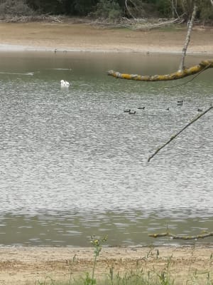 Lac de Lacépède - Lacépède - 3