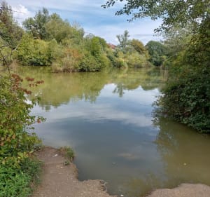 A travers les parcs du Bachais et du Bruchet à  Meylan - CATHERINE - 2