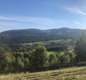 Découverte des pâturages au départ de la ferme-auberge - Bellefosse - 4