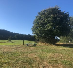 Découverte des pâturages au départ de la ferme-auberge - Bellefosse - 5
