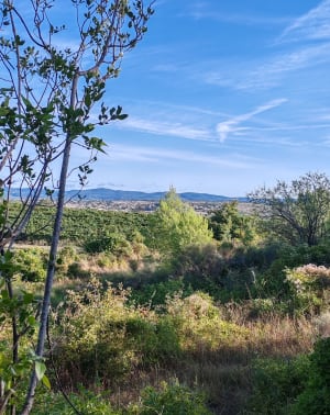 Pailhès et balade champêtre dans un coin de paradis - Syl - 7