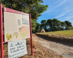 Pailhès et balade champêtre dans un coin de paradis - Syl - 8