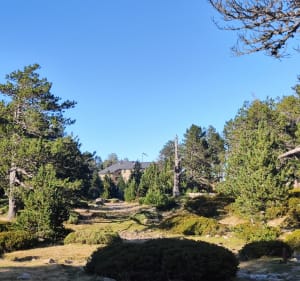 Vernet et Refuge du Cortalets - Vernet-les-Bains - 2